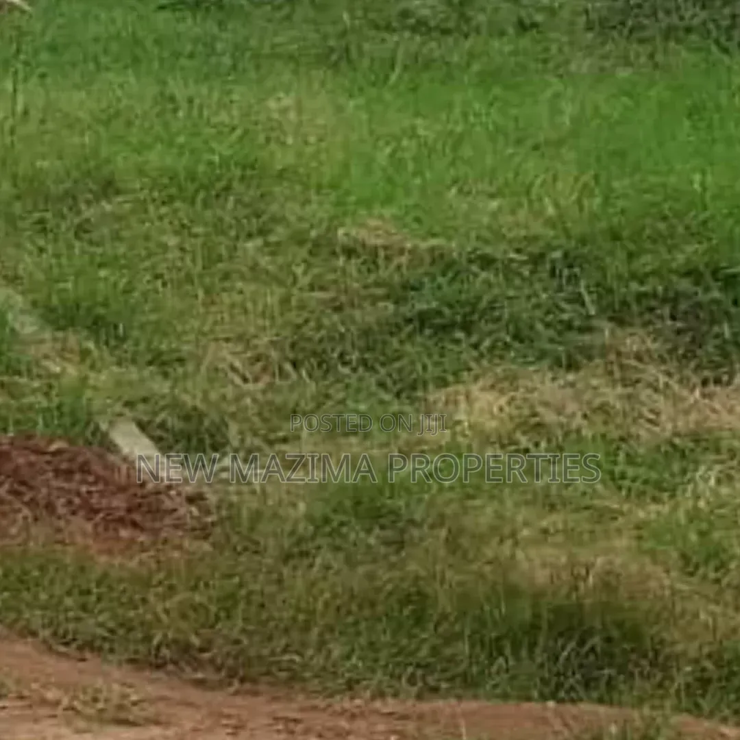 Affordable Plot With Private Mile Land Title on Table on Forced Sale