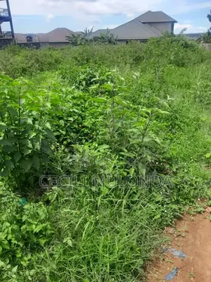 Plot 4 Sale at Nkumba 100 /100 Cool Breeze Mailo Land Title Entebbe Rd