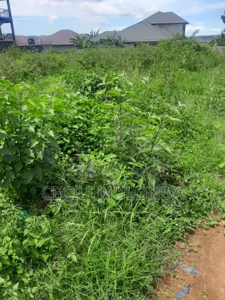 Plot 4 Sale at Nkumba 100 /100 Cool Breeze Mailo Land Title Entebbe Rd