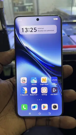 Vivo X200 Pro 512 GB Gray