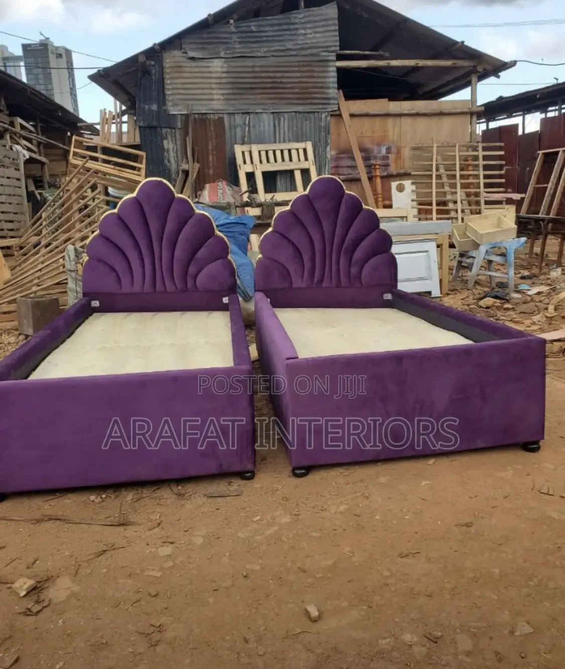 Purple Shell Velvet Beds in 3x6 Each