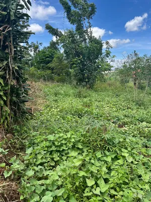 1 Acre of Land in Kitukutwe 700mtr Off Tarmac