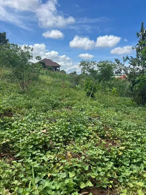 1 Acre of Land in Kitukutwe 700mtr Off Tarmac