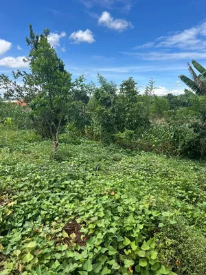 1 Acre of Land in Kitukutwe 700mtr Off Tarmac