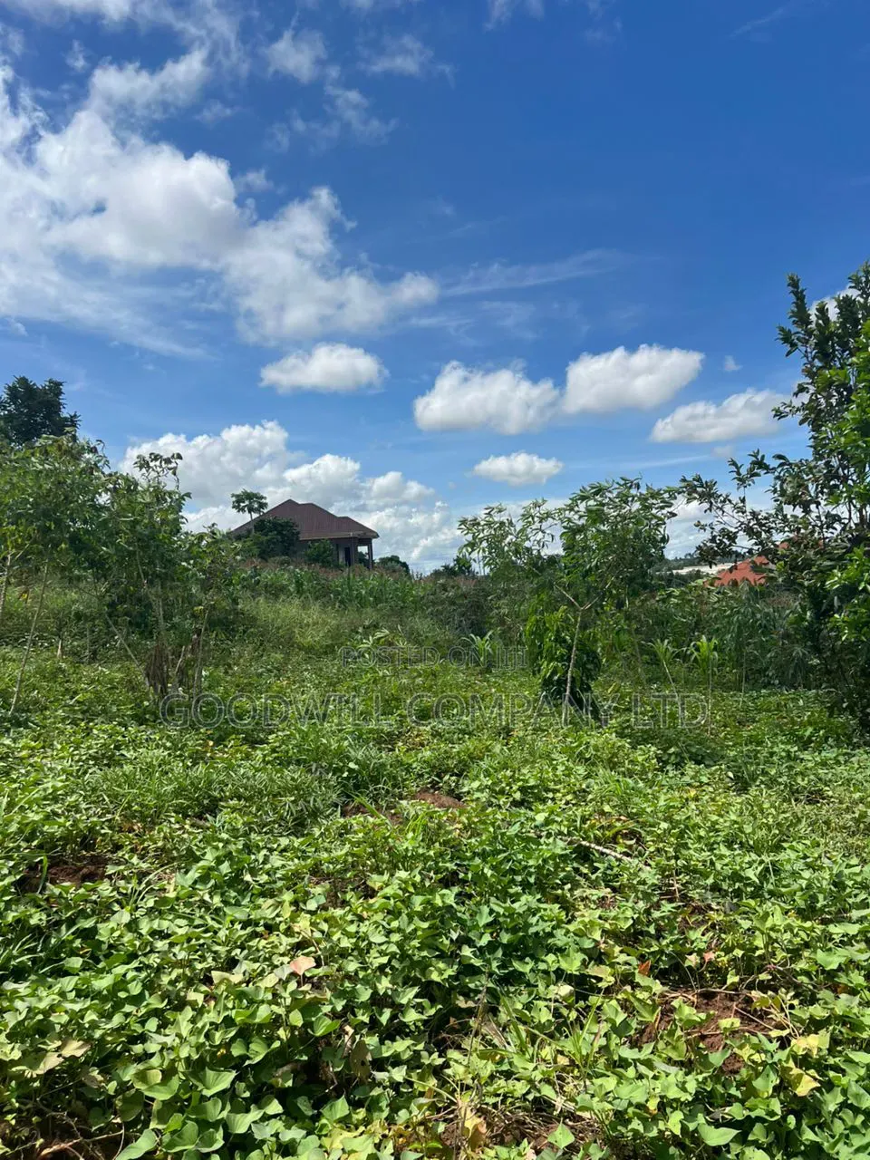 1 Acre of Land in Kitukutwe 700mtr Off Tarmac