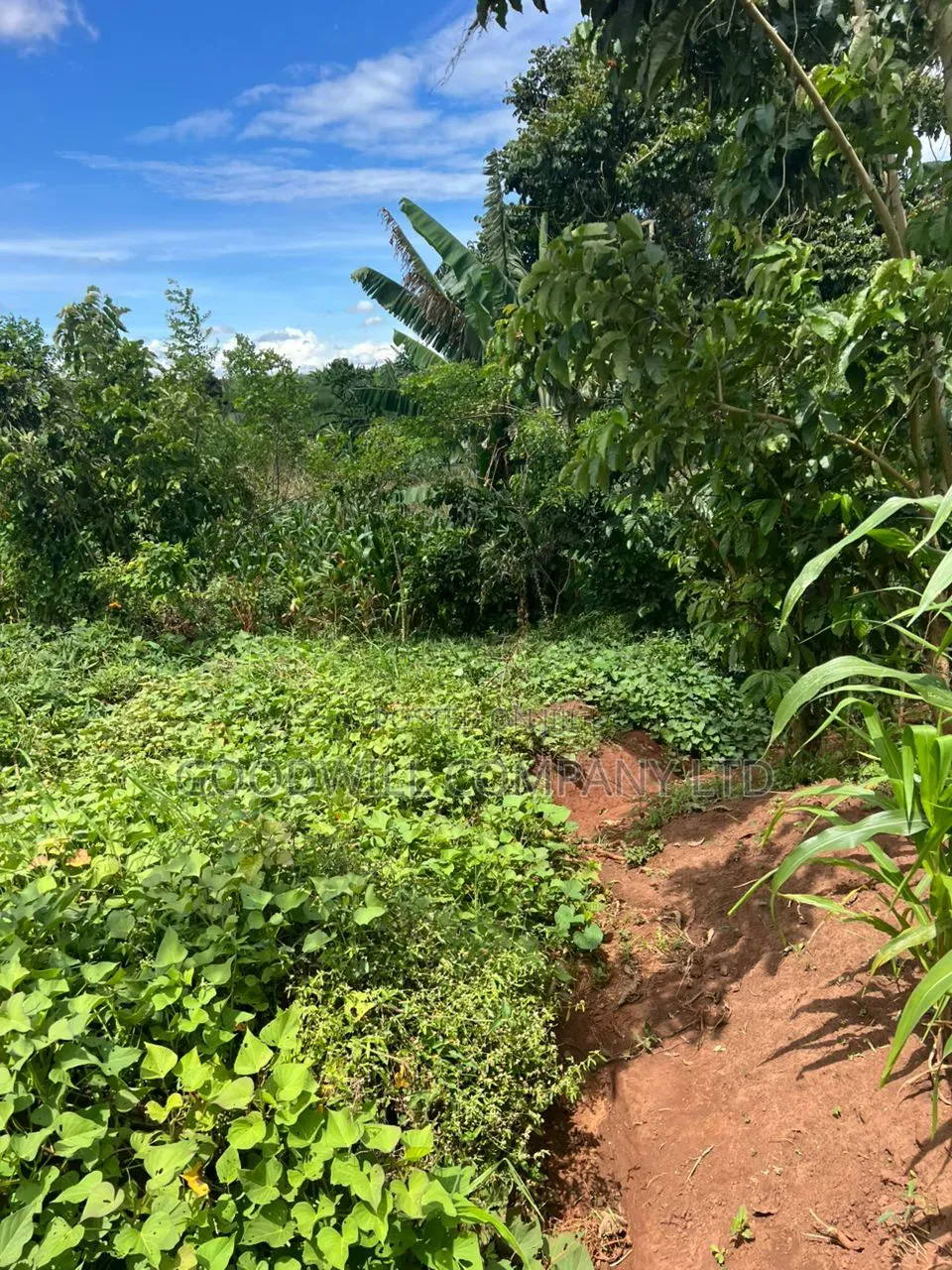 1 Acre of Land in Kitukutwe 700mtr Off Tarmac