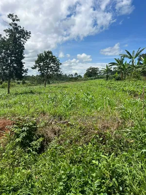 1 Acre of Land in Kira Kitukutwe 800mtrs Off Main Road