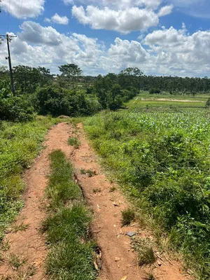 1 Acre of Land in Kira Kitukutwe 800mtrs Off Main Road