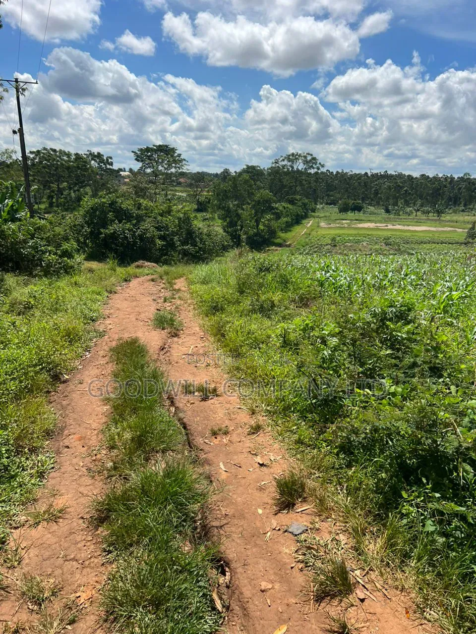 1 Acre of Land in Kira Kitukutwe 800mtrs Off Main Road