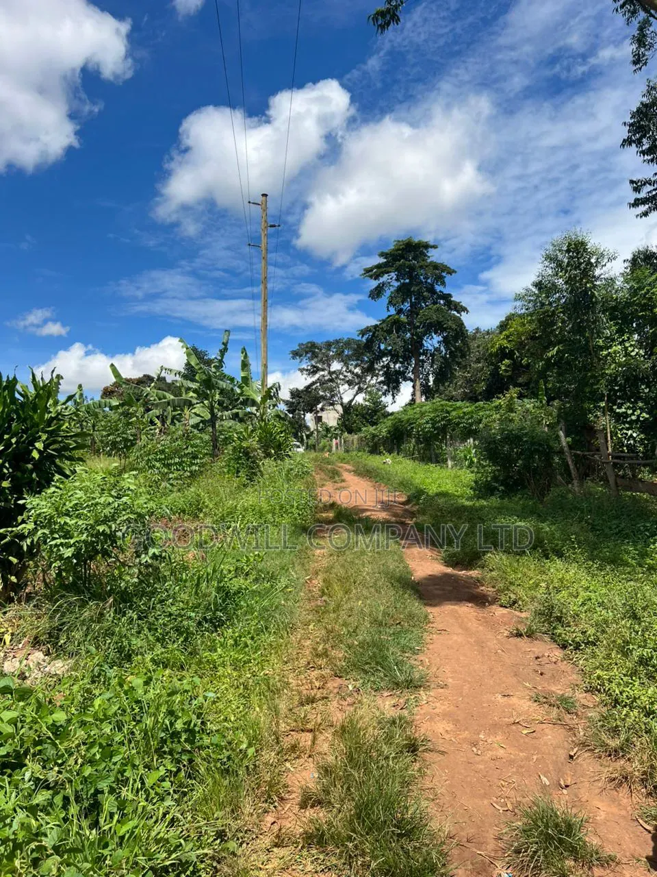 1 Acre of Land in Kira Kitukutwe 800mtrs Off Main Road