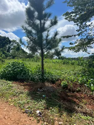 4 Acres of Low Land in Kitukutwe Kira Good for Farming
