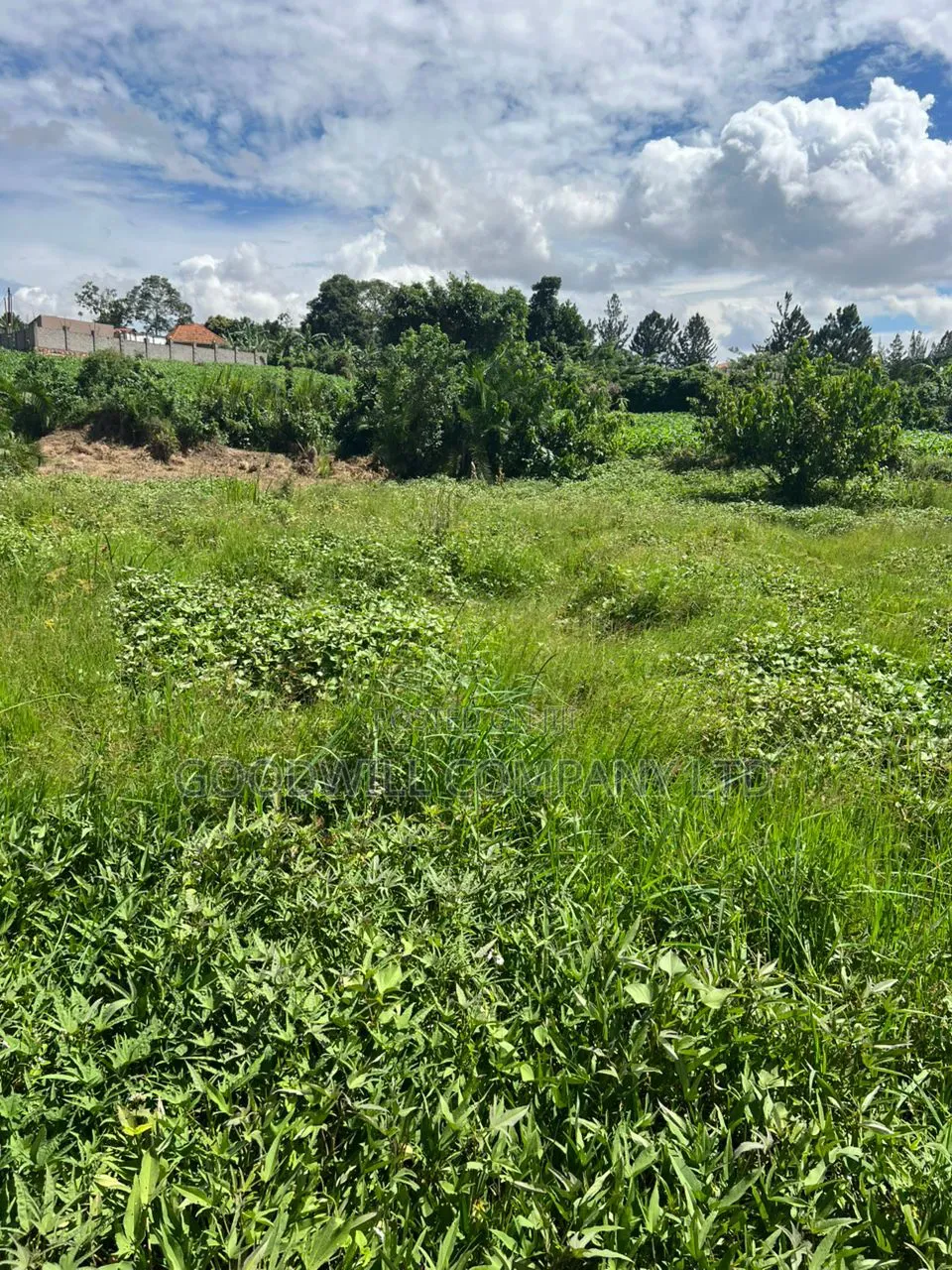 4 Acres of Low Land in Kitukutwe Kira Good for Farming