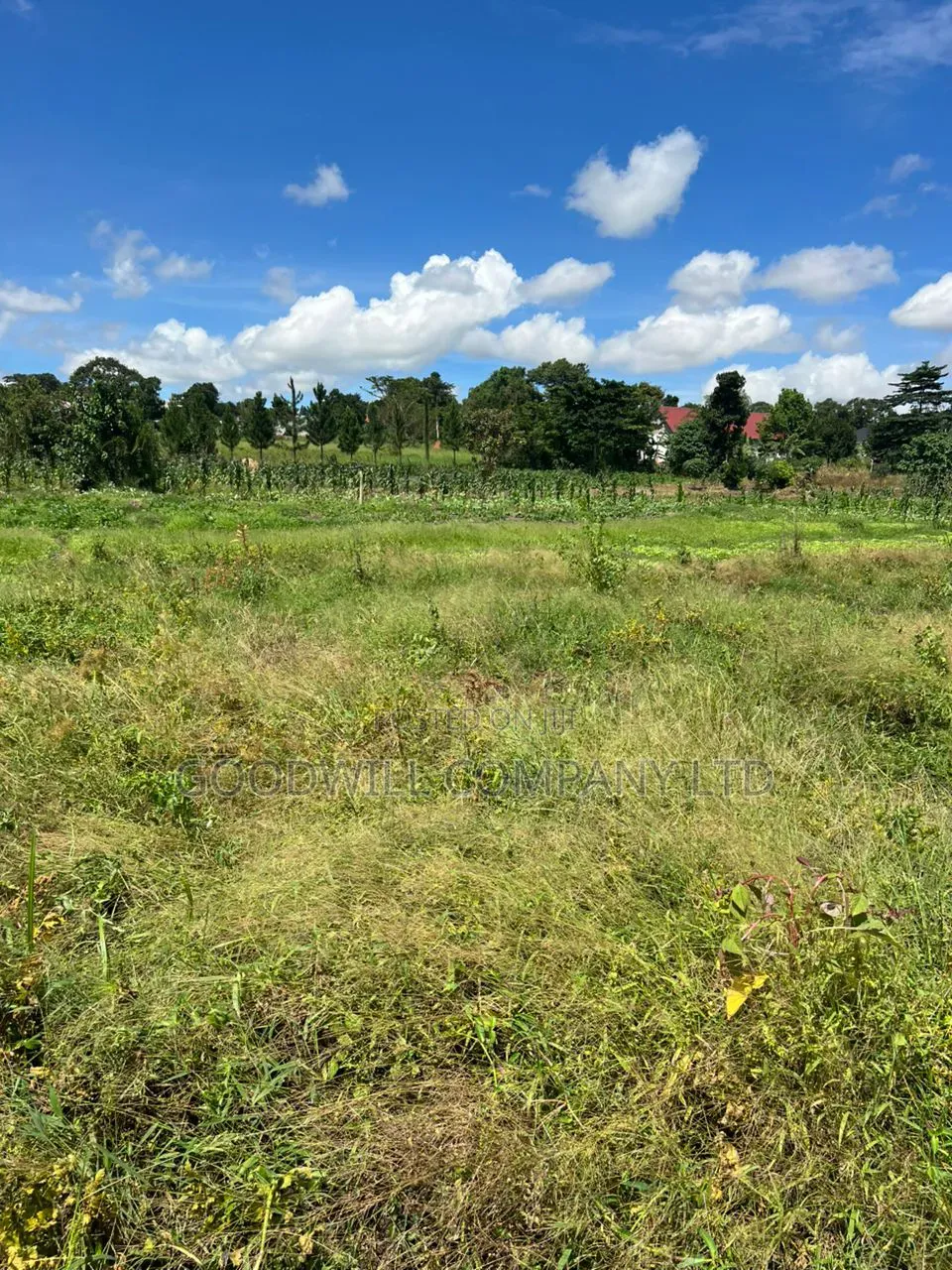 4 Acres of Low Land in Kitukutwe Kira Good for Farming