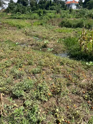 4 Acres of Low Land in Kitukutwe Kira Good for Farming