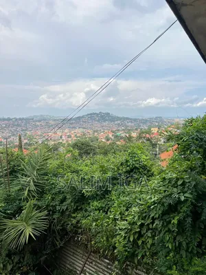 4bdrm Bungalow in Kololo Property, Central Division for rent