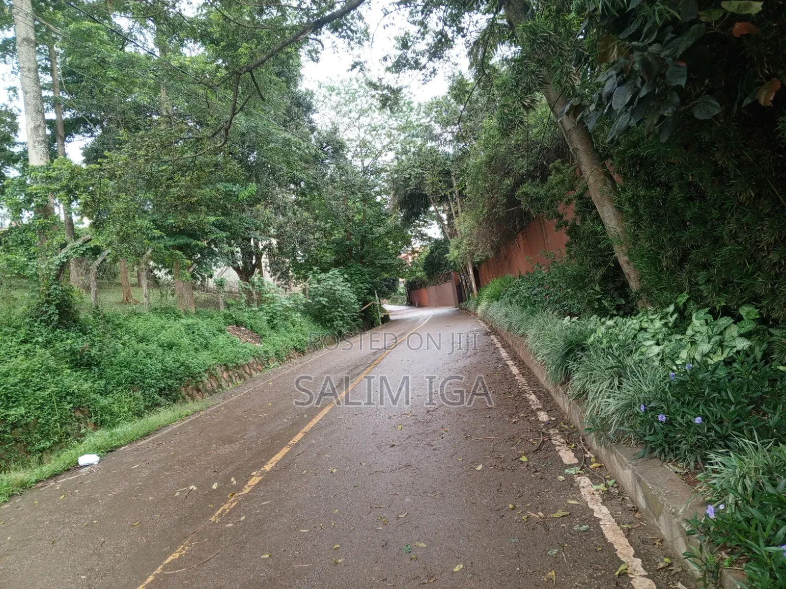 4bdrm Bungalow in Kololo Property, Central Division for rent