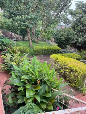4bdrm Bungalow in Kololo Property, Central Division for rent