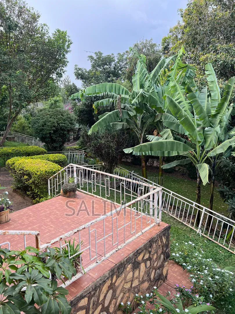 4bdrm Bungalow in Kololo Property, Central Division for rent