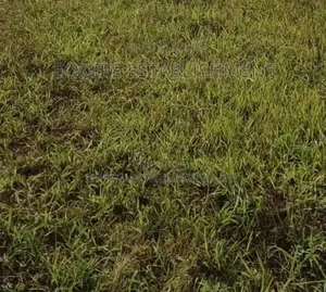 100×100 Plot for in Gayaza Kabubu With a Ready Title