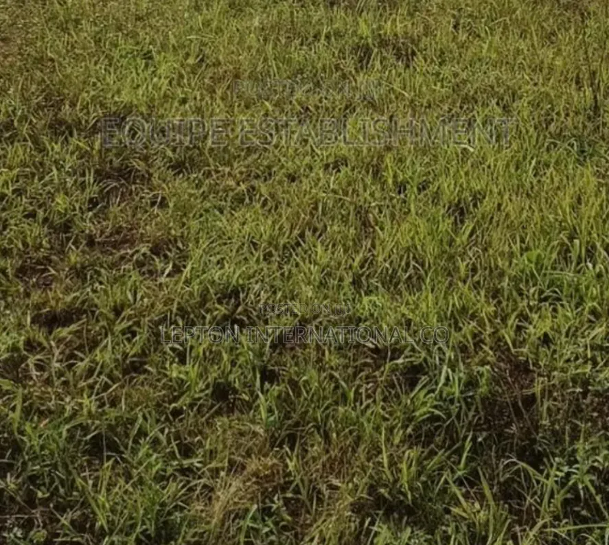 100×100 Plot for in Gayaza Kabubu With a Ready Title