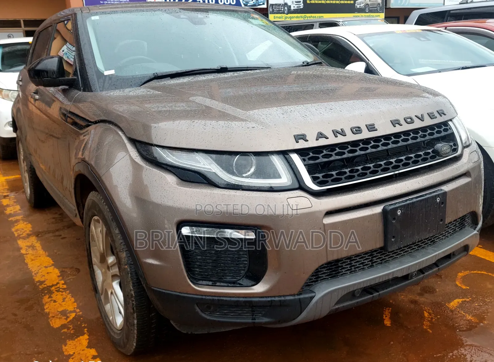 Land Rover Range Rover Evoque 2013 Gray