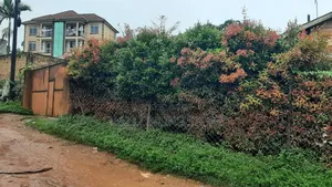 Property for Sale in Kansanga (Near Kiu)