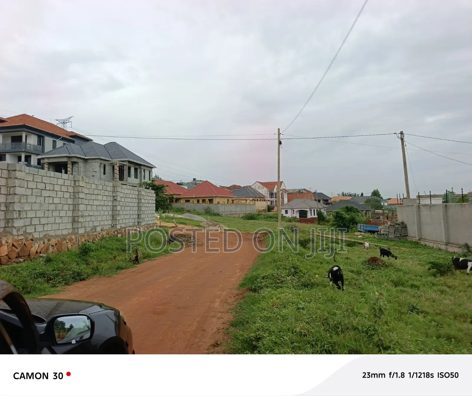Tired of Moving Looking for a Plot? 14 Dec at Kungu Settles You!