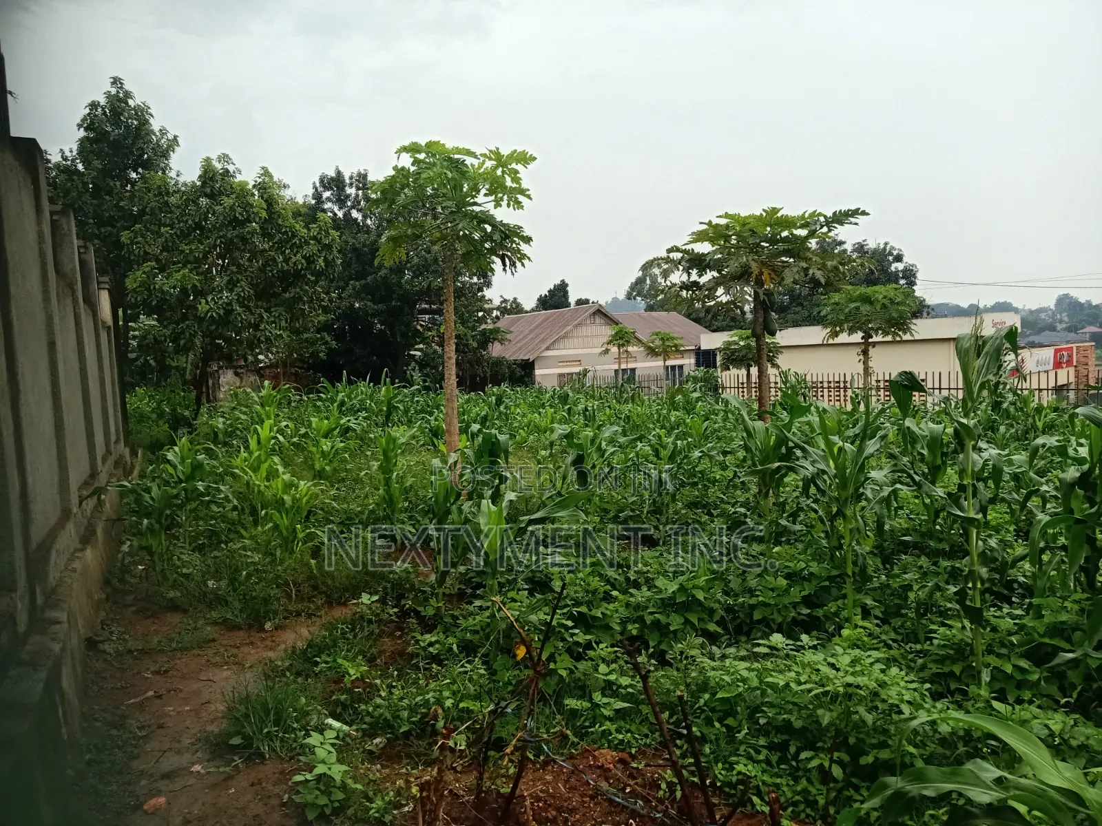 Land for Leasing/Renting in Kyengera on Main Road.