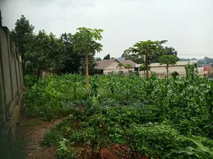 Land for Leasing/Renting in Kyengera on Main Road.