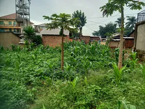Land for Leasing/Renting in Kyengera on Main Road.