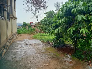 Land for Leasing/Renting in Kyengera on Main Road.
