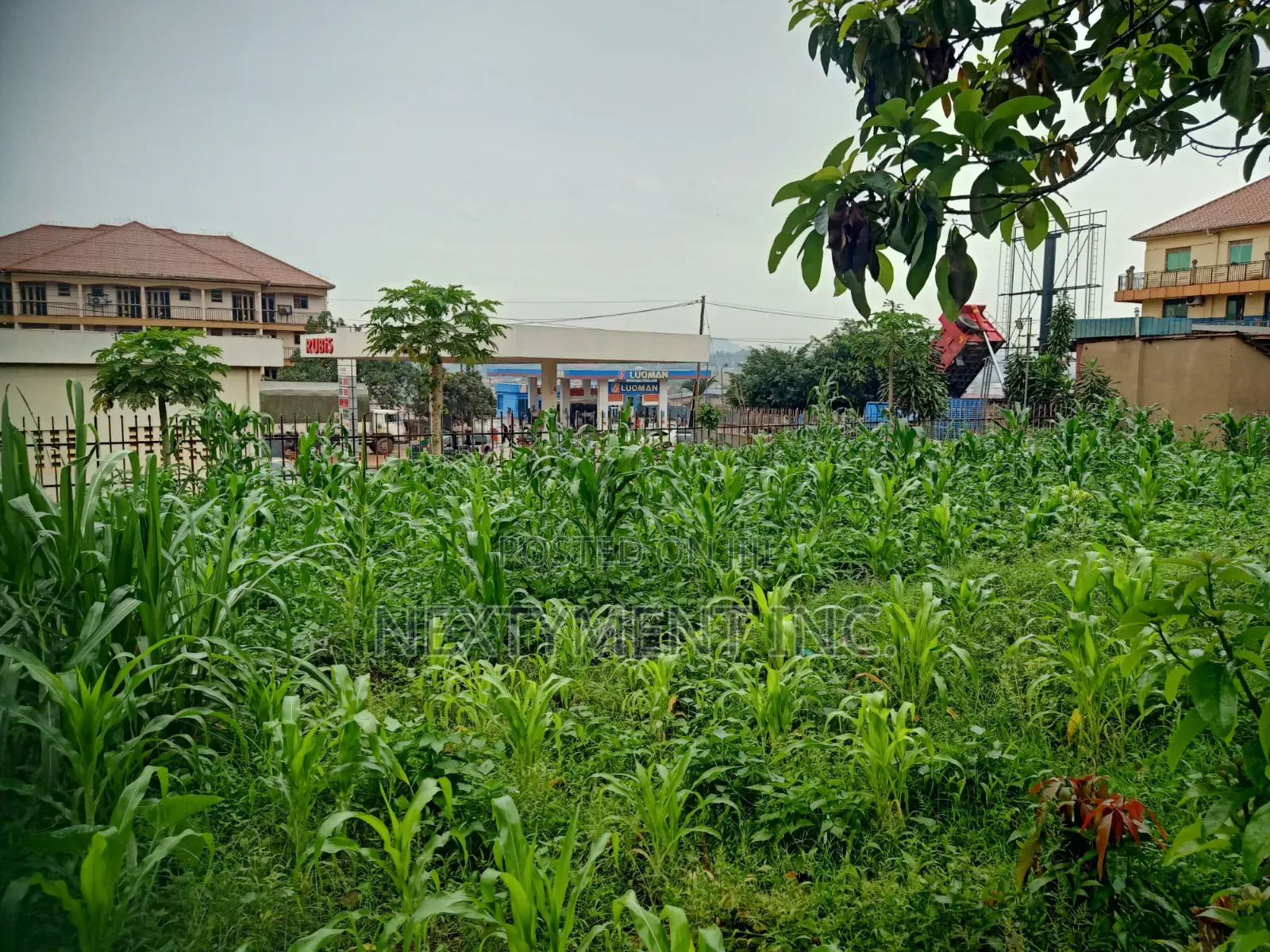 Land for Leasing/Renting in Kyengera on Main Road.
