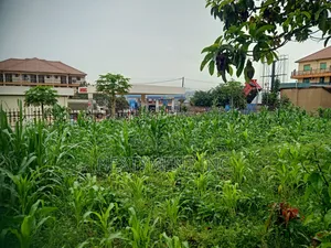 Land for Leasing/Renting in Kyengera on Main Road.