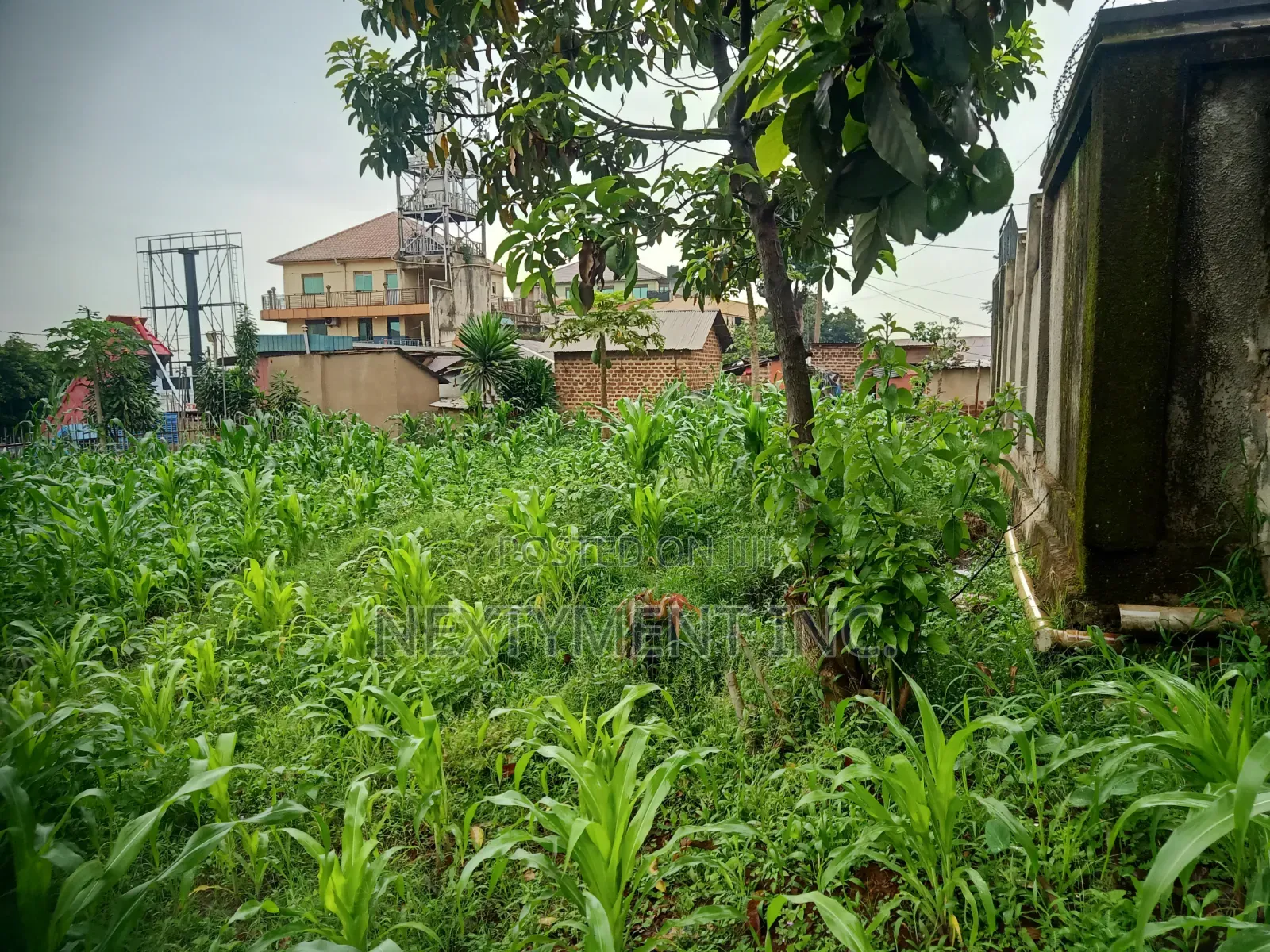 Land for Leasing/Renting in Kyengera on Main Road.