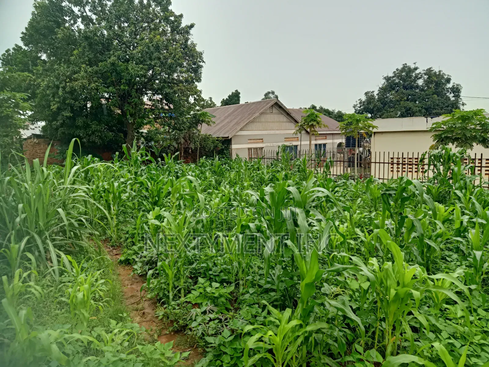 Land for Leasing/Renting in Kyengera on Main Road.