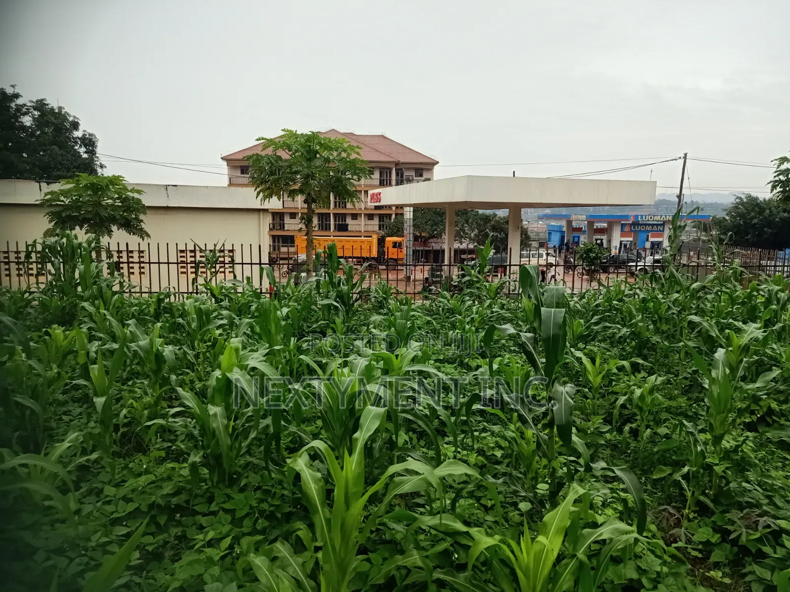 Land for Leasing/Renting in Kyengera on Main Road.