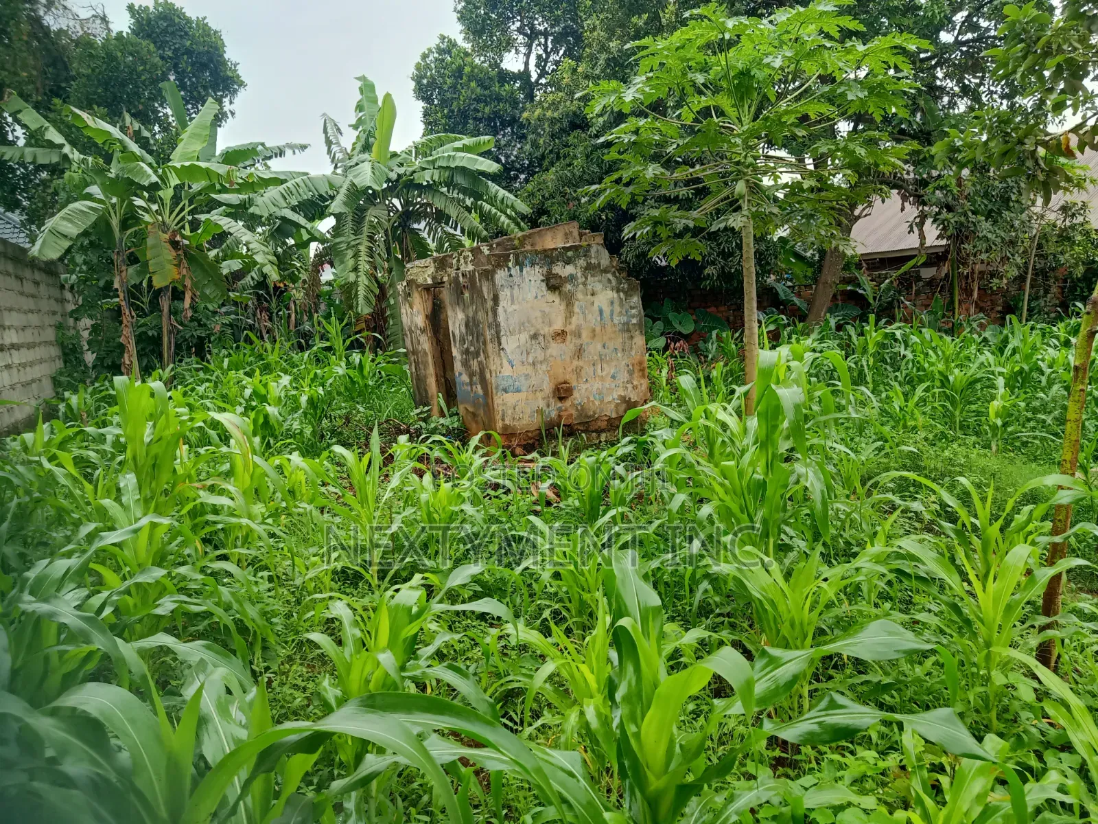 Land for Leasing/Renting in Kyengera on Main Road.