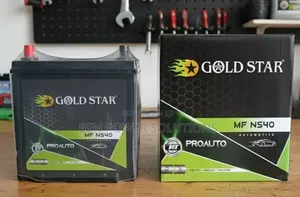 Mf Ns40 Automotive Battery