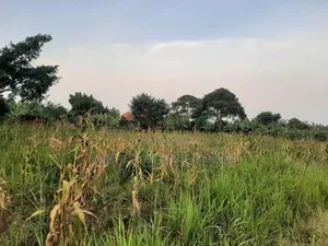 50by100ft Plots in Kalanamu-Luweero