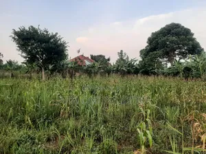 50by100ft Plots in Kalanamu-Luweero