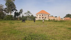 12 Decimals Plots for Sale in Kiwenda- Mairye
