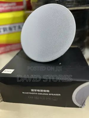 Amplified Bluetooth Ceiling Speakers – Built-in Amp Wireless Sound