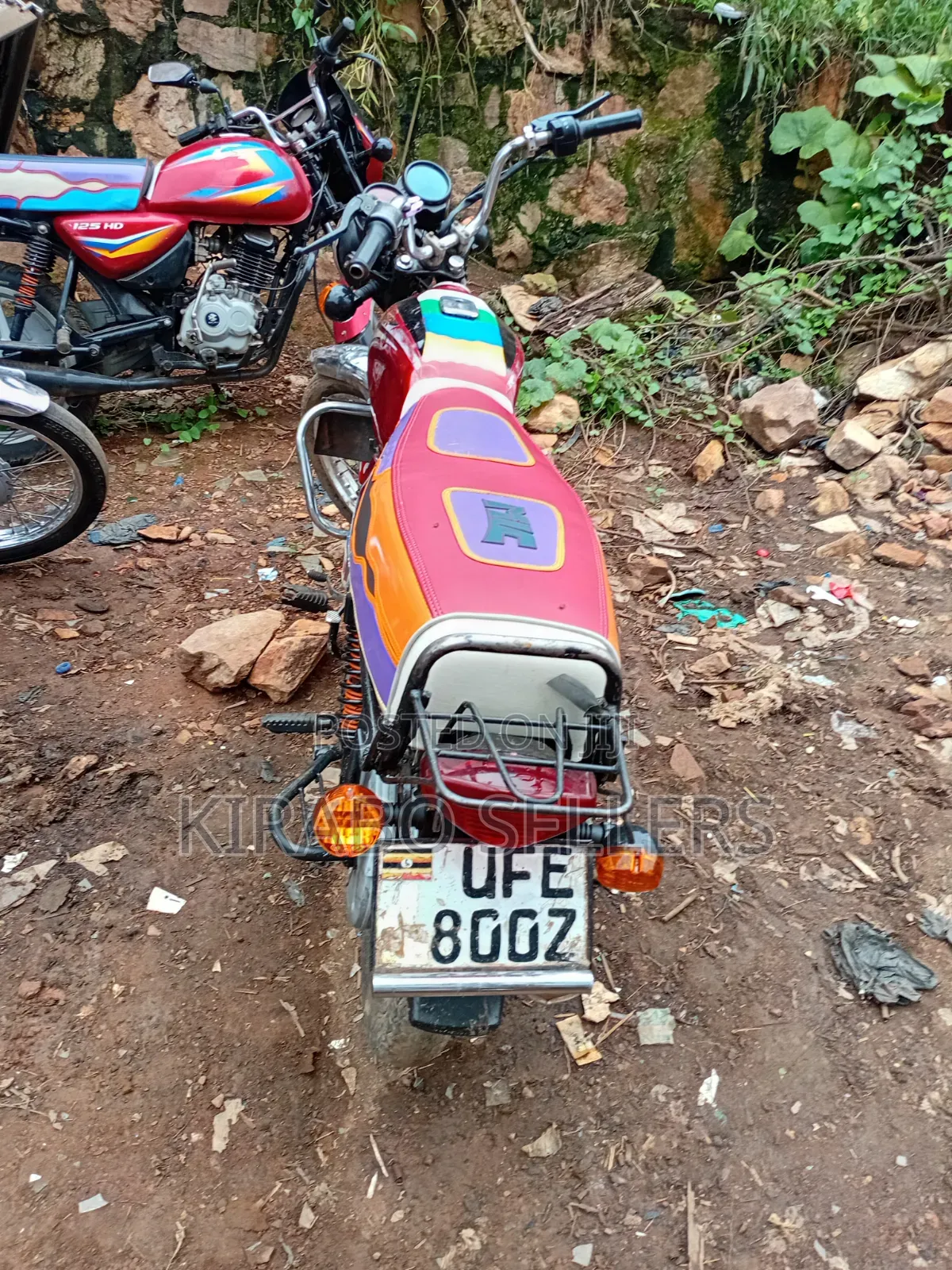 Bajaj Boxer 100 2024 Red