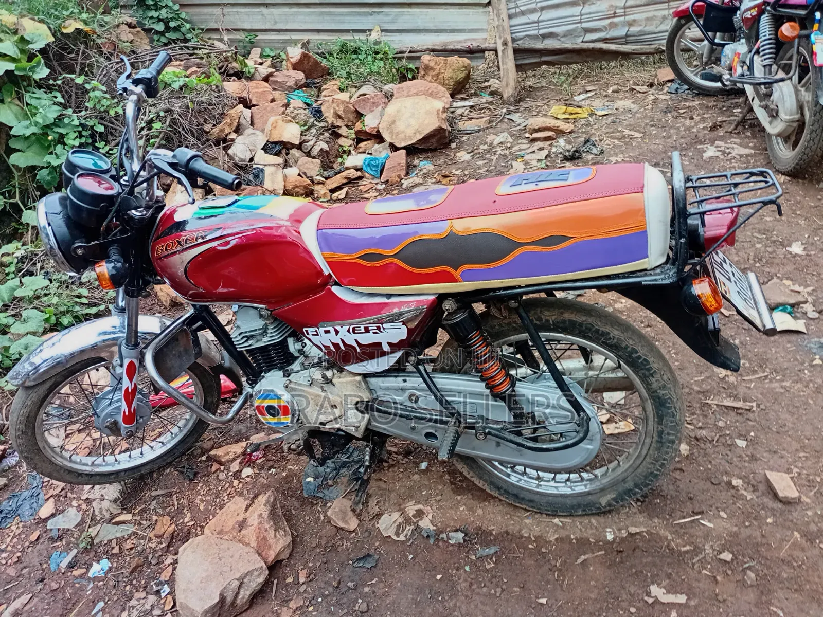 Bajaj Boxer 100 2024 Red