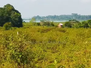 50 by 100ft Land for Sale With a Lake View in Buwaya Sazi