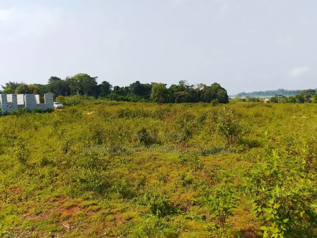 50 by 100ft Land for Sale With a Lake View in Buwaya Sazi