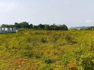 50 by 100ft Land for Sale With a Lake View in Buwaya Sazi