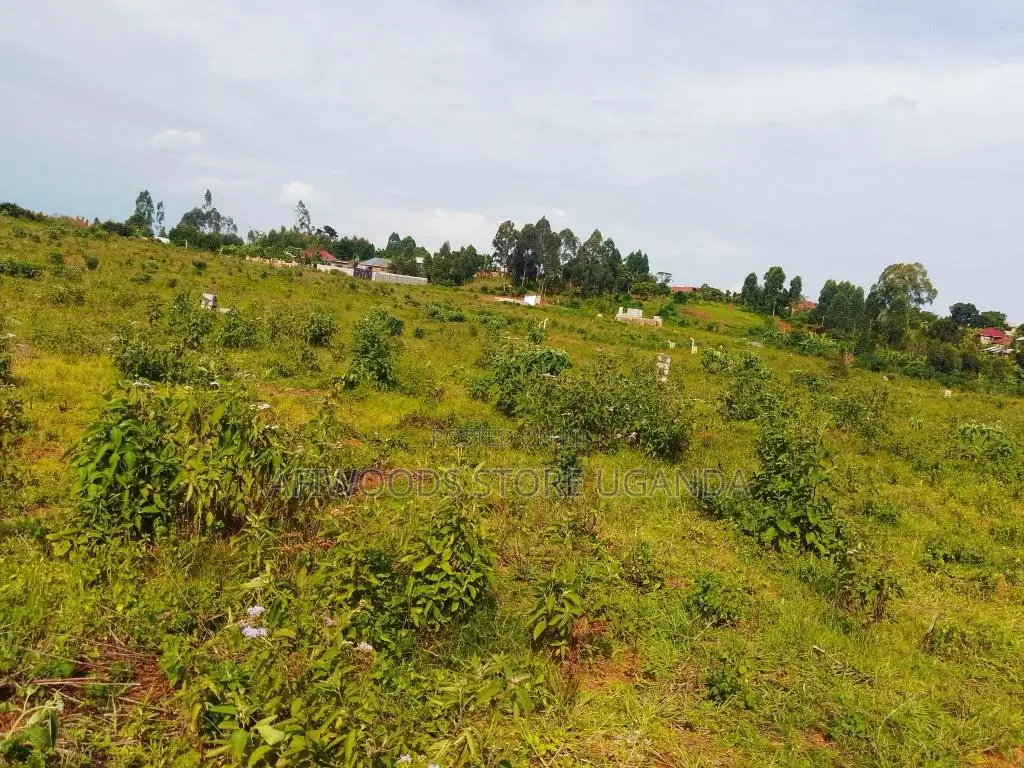 50 by 100ft Land for Sale With a Lake View in Buwaya Sazi