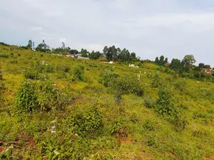 50 by 100ft Land for Sale With a Lake View in Buwaya Sazi