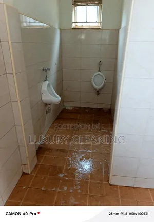 Detailed Cleaning